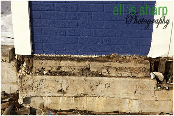 Post Removal Documentation-010-4196036